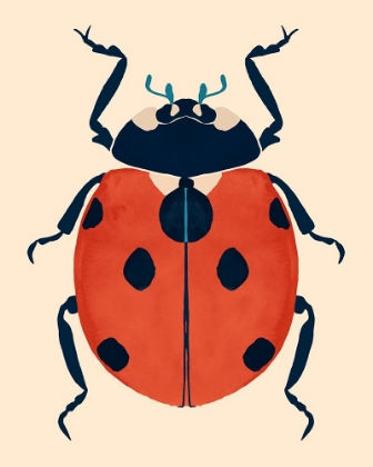 Picture of BEETLE BUG V