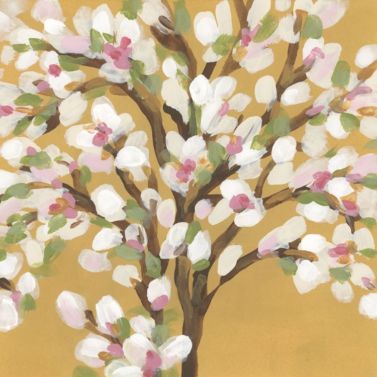 Picture of BLOSSOMS ON OCHRE II