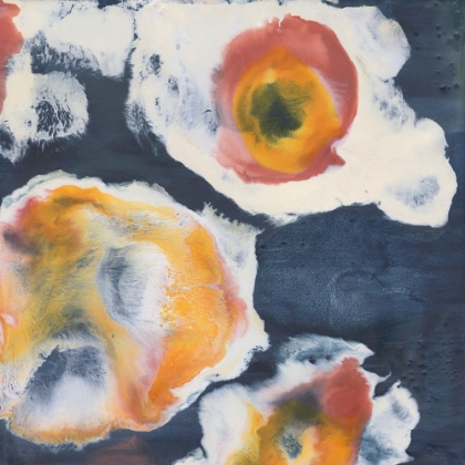 Picture of FLORAL TILES IV