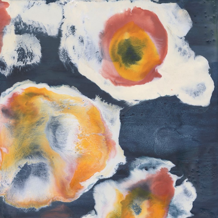 Picture of FLORAL TILES IV