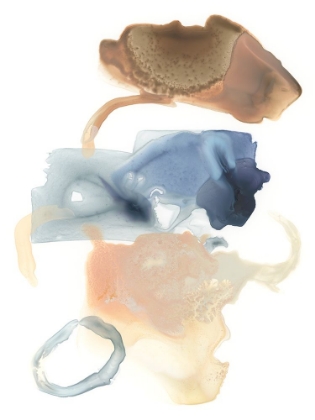 Picture of LUNAR GEOLOGY II