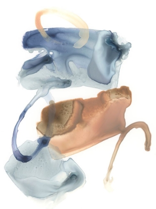 Picture of LUNAR GEOLOGY IV