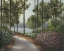 Picture of AROUND THE LAKE