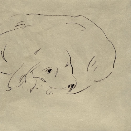 Picture of A GOOD BOY I