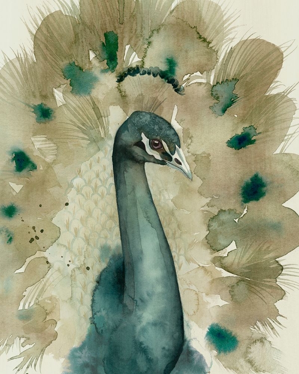 Picture of SEPIA PEACOCK I