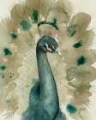 Picture of SEPIA PEACOCK I