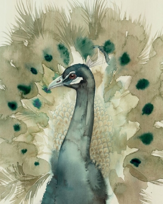 Picture of SEPIA PEACOCK II