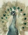 Picture of SEPIA PEACOCK II