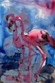 Picture of FLAMINGOS