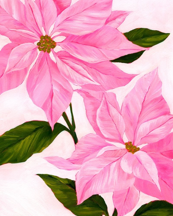 Picture of NEON PINK POINSETTIAS I