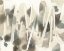 Picture of STACCATO SMOKE SCREEN II