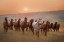 Picture of MORNING JINGLE