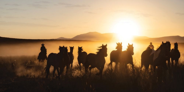 Picture of RANCH HORSE JINGLE