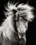 Picture of BREEZE