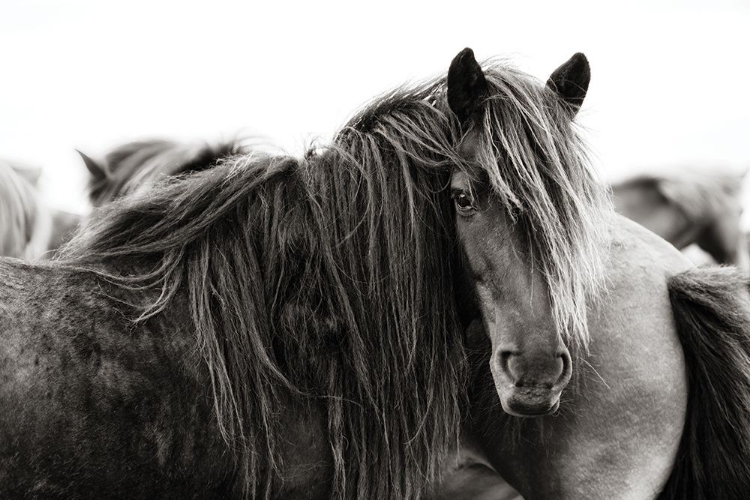 Picture of STAND ALONE