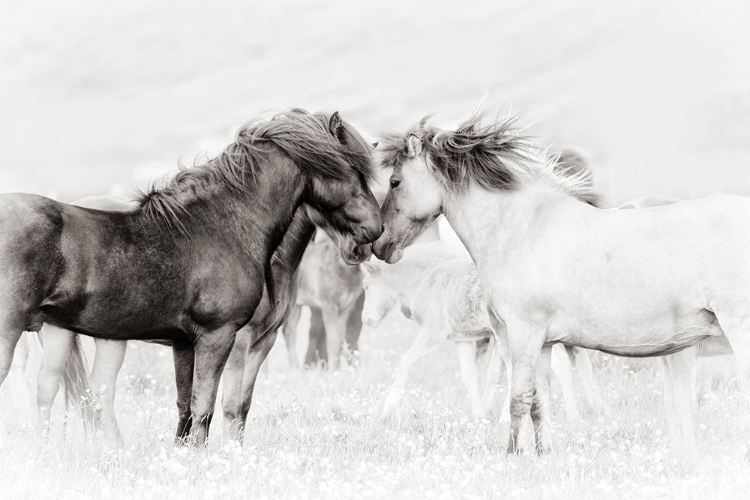 Picture of LETS TALK