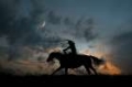 Picture of COWBOY BY DAY AND NIGHT II