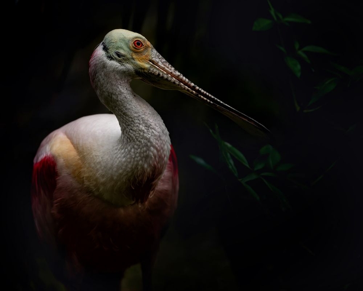 Picture of PREHISTORIC