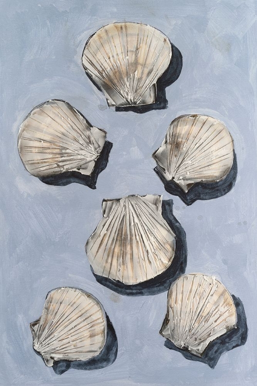 Picture of EMBELLISHED SEASHELLS I