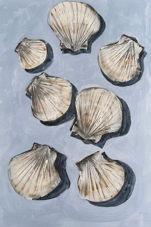 Picture of EMBELLISHED SEASHELLS II