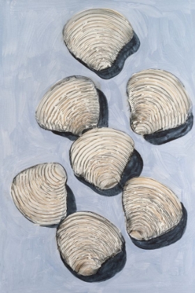 Picture of EMBELLISHED SEASHELLS III