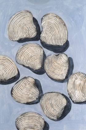 Picture of EMBELLISHED SEASHELLS IV