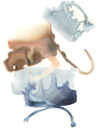 Picture of LUNAR GEOLOGY I