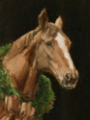 Picture of HOLIDAY HORSE I