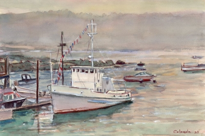 Picture of MAINE MORNING MIST