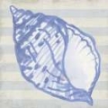 Picture of BLUE SHELL ON STRIPES I