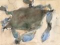 Picture of THE MARYLAND CRAB I