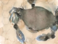 Picture of THE MARYLAND CRAB II