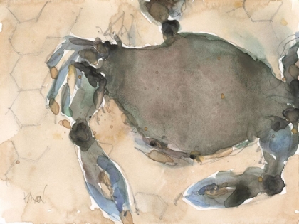 Picture of THE MARYLAND CRAB II