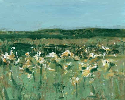 Picture of DAFFODIL FIELDS II