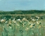 Picture of DAFFODIL FIELDS II