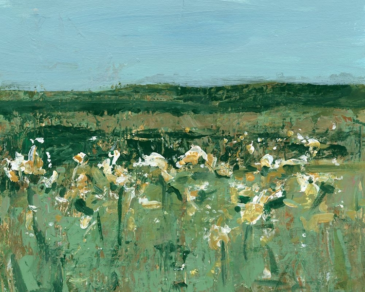 Picture of DAFFODIL FIELDS II