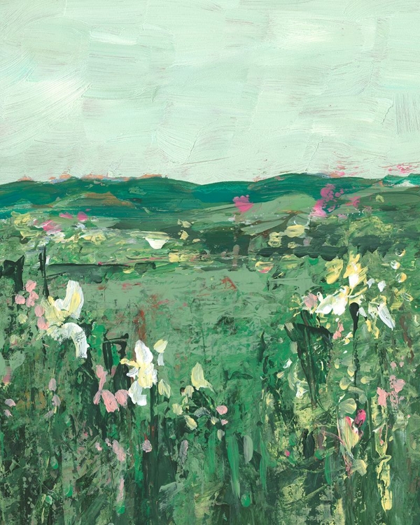 Picture of MOUNTAIN SPRING WILDFLOWERS II