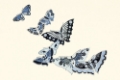 Picture of KAMISAKA SEKKAS WOODBLOCK BUTTERFLIES I