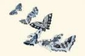 Picture of KAMISAKA SEKKAS WOODBLOCK BUTTERFLIES I