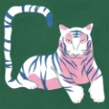Picture of GRAPHIC WHITE TIGER II