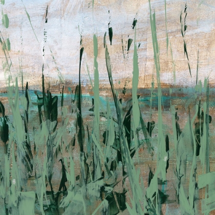 Picture of THROUGH THE GRASS I