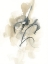 Picture of ARRUGA II