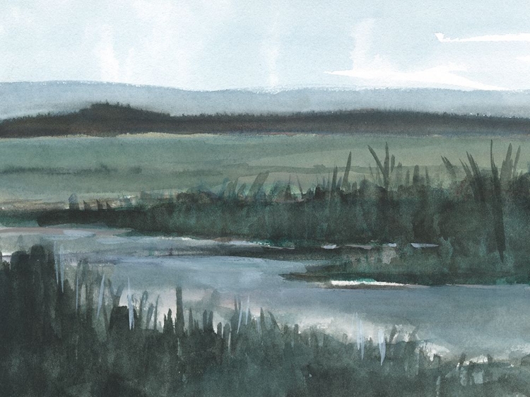 Picture of MUTED WETLAND I
