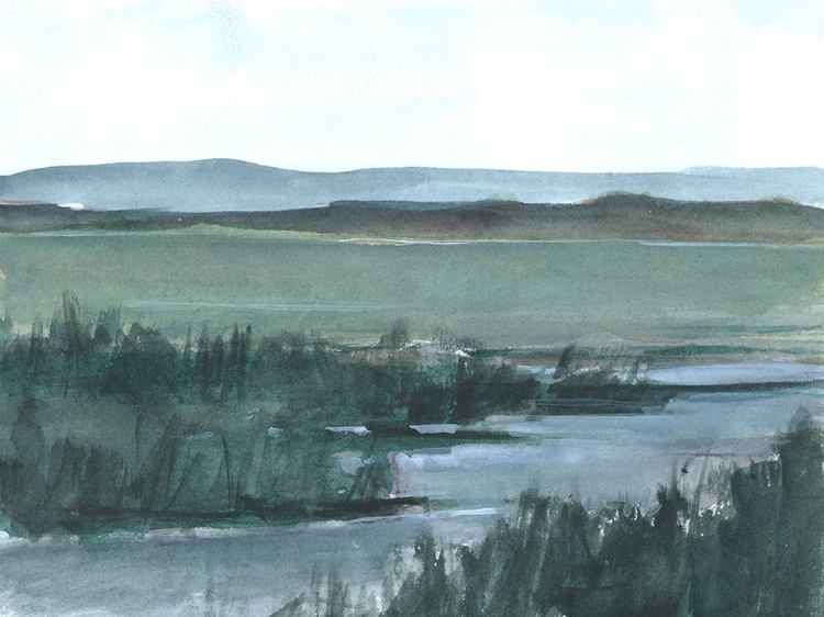 Picture of MUTED WETLAND II