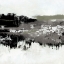Picture of CHARCOAL MIST I