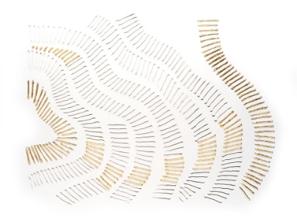 Picture of VERMEIL BANDS II