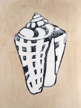 Picture of ASSORTED EMBELLISHED SHELLS II