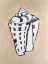 Picture of ASSORTED EMBELLISHED SHELLS II