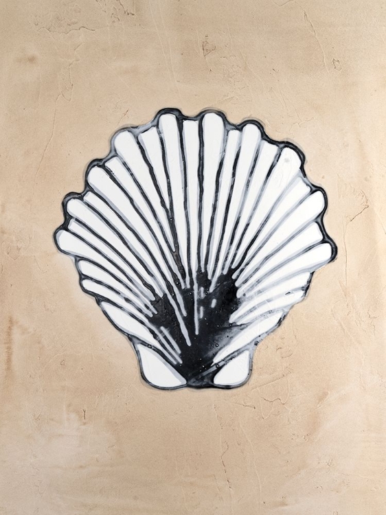 Picture of ASSORTED EMBELLISHED SHELLS III