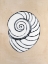 Picture of ASSORTED EMBELLISHED SHELLS IV